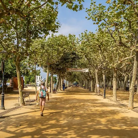 Отель Mar Blau 3*